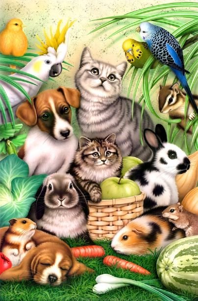 Мир животных - собака, мир, арт, кот, животное, природа - оригинал