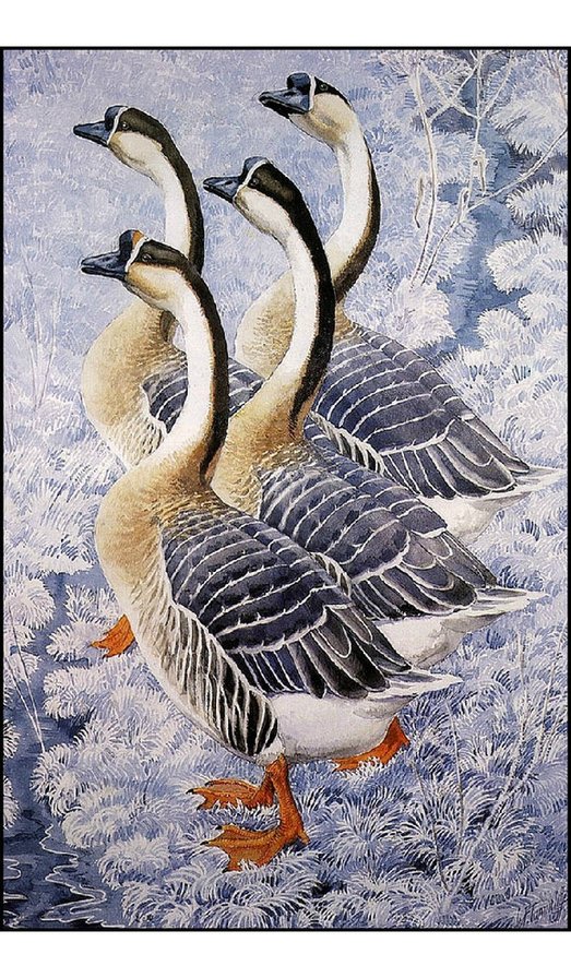 Гуси зимой - оригинал