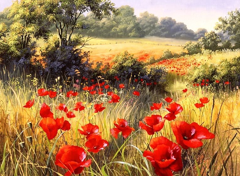 маки - цветы. природа - оригинал