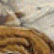 Предпросмотр схемы вышивки «Aves» (№1689099)
