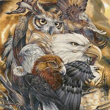 Схема вышивки «Aves»