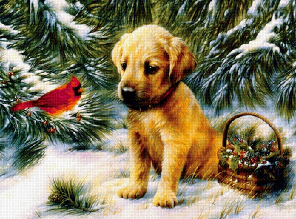 щенок - животные - предпросмотр