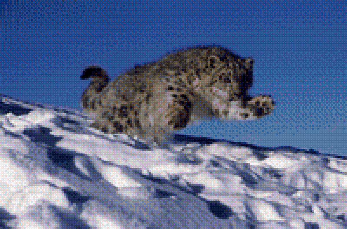 Ирбис - предпросмотр