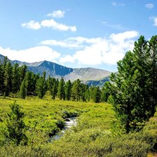 Схема вышивки «ручей»