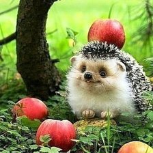 Схема вышивки «ежик в лесу»