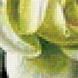 Предпросмотр схемы вышивки «Букет белых роз» (№1690171)