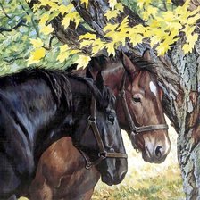 Схема вышивки «№1690291»