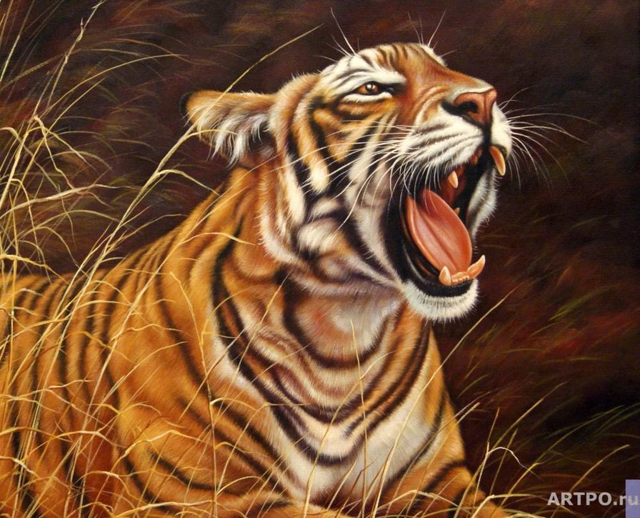 №1690600 - тигр хищник - оригинал