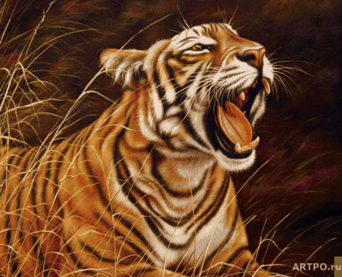 №1690600 - тигр хищник - предпросмотр