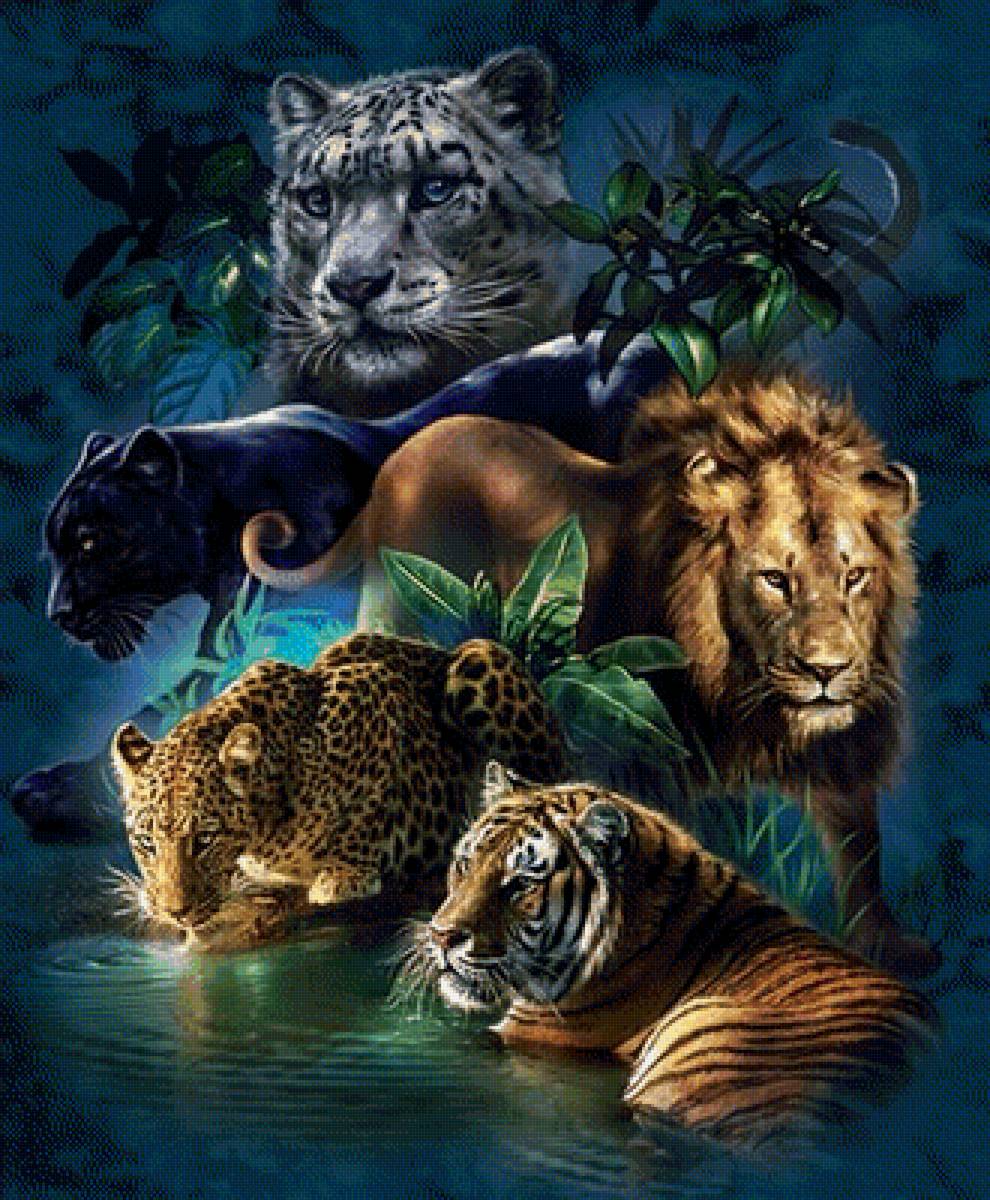 хищники - животные - предпросмотр