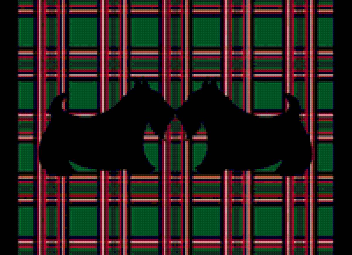 Скотч-терьеры - скотч-терьер, собаки - предпросмотр