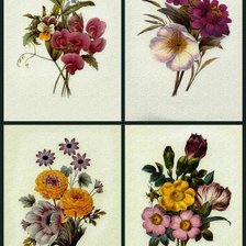 Оригинал схемы вышивки «цветочный коллаж 10» (№1691531)