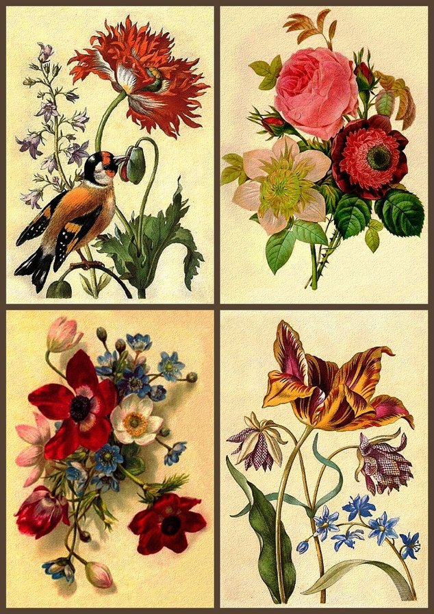 цветочный коллаж 17 - цветы - оригинал