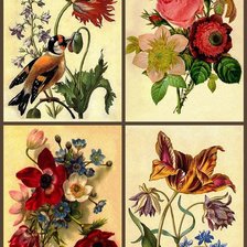 Схема вышивки «цветочный коллаж 17»