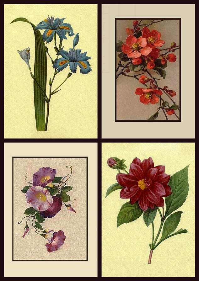 цветочный коллаж 18 - цветы - оригинал