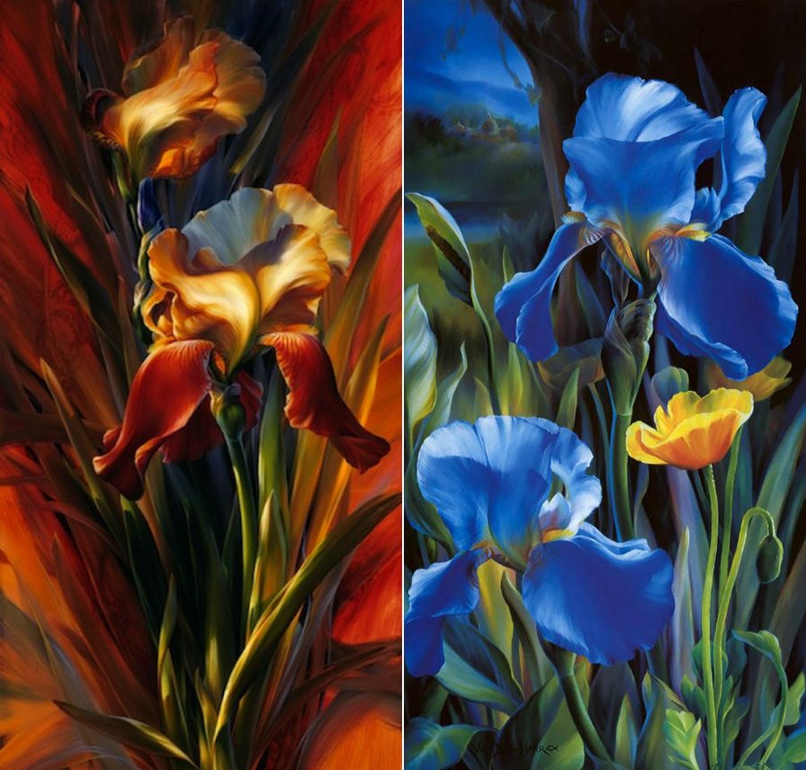 ирисы - цветы. акварель - оригинал