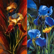 Схема вышивки «ирисы»