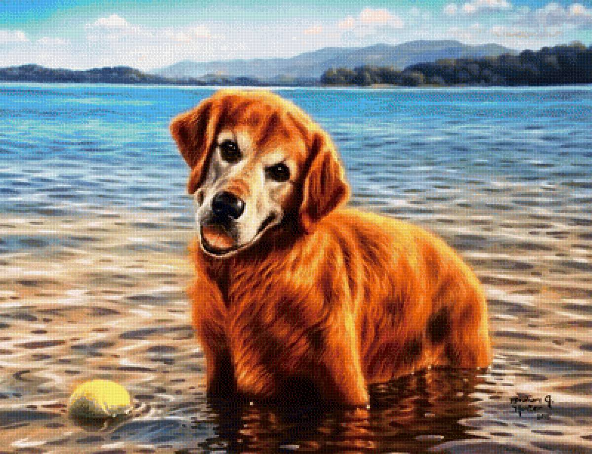 пес - животные - предпросмотр