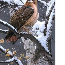 Оригинал схемы вышивки «№1691777»