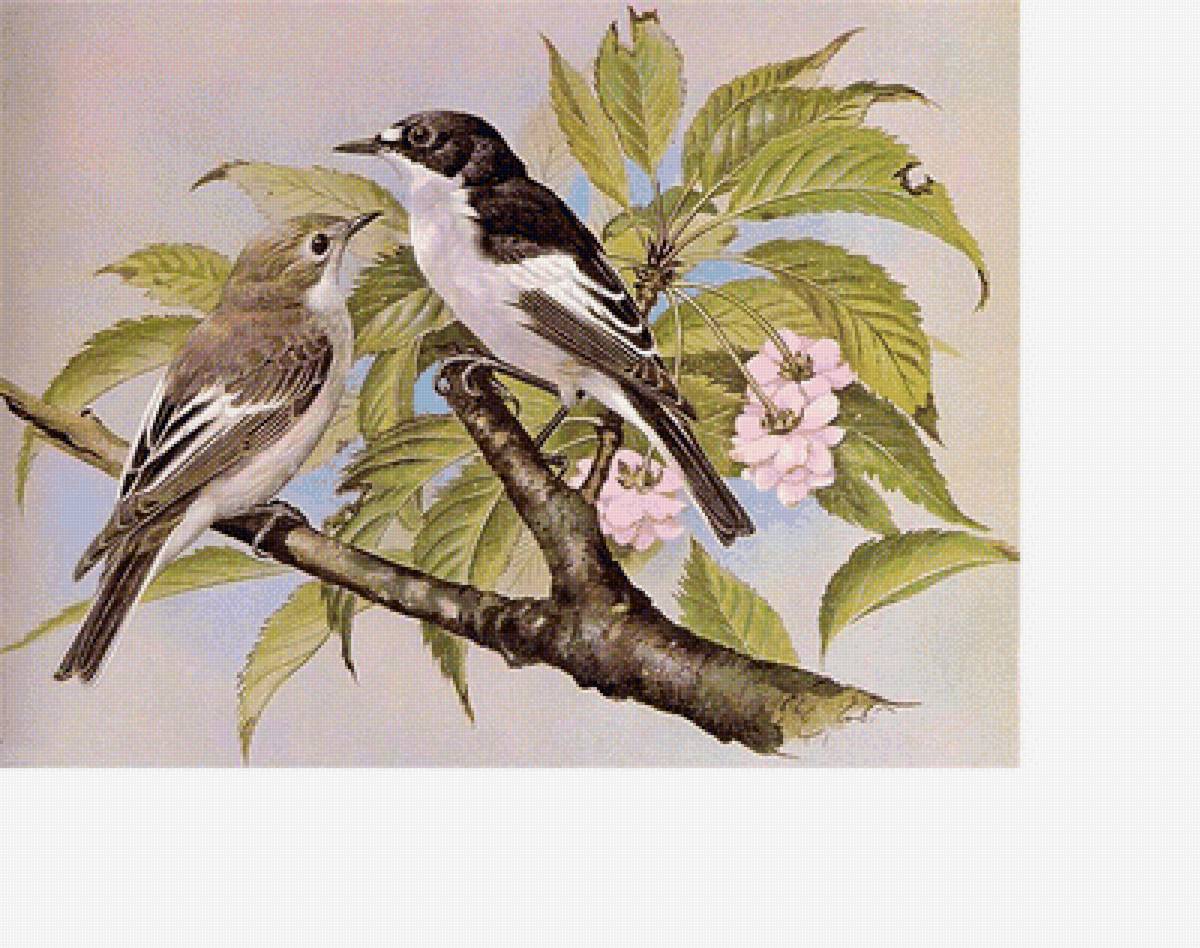 №1692198 - предпросмотр