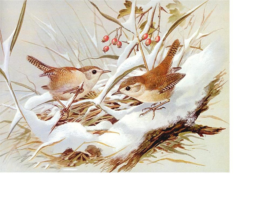 №1692200 - оригинал