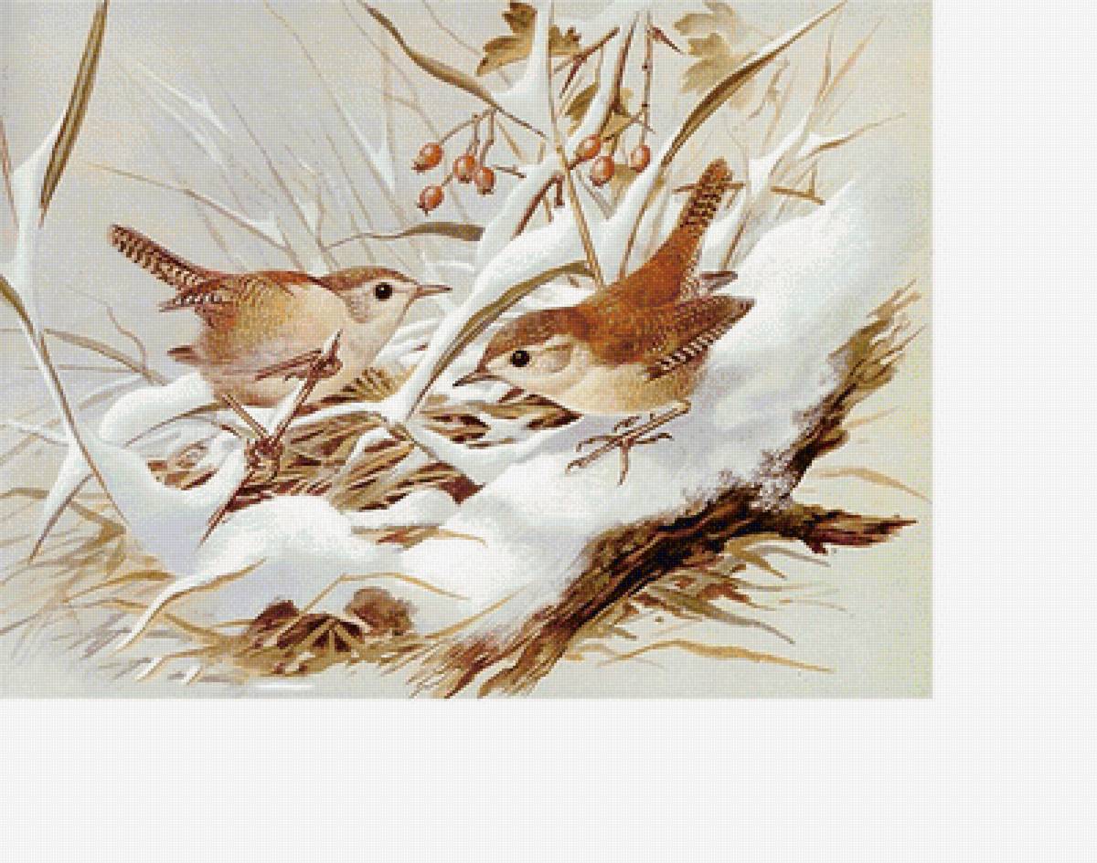 №1692200 - предпросмотр