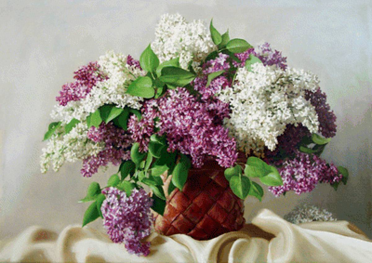 сирень - цветы - предпросмотр