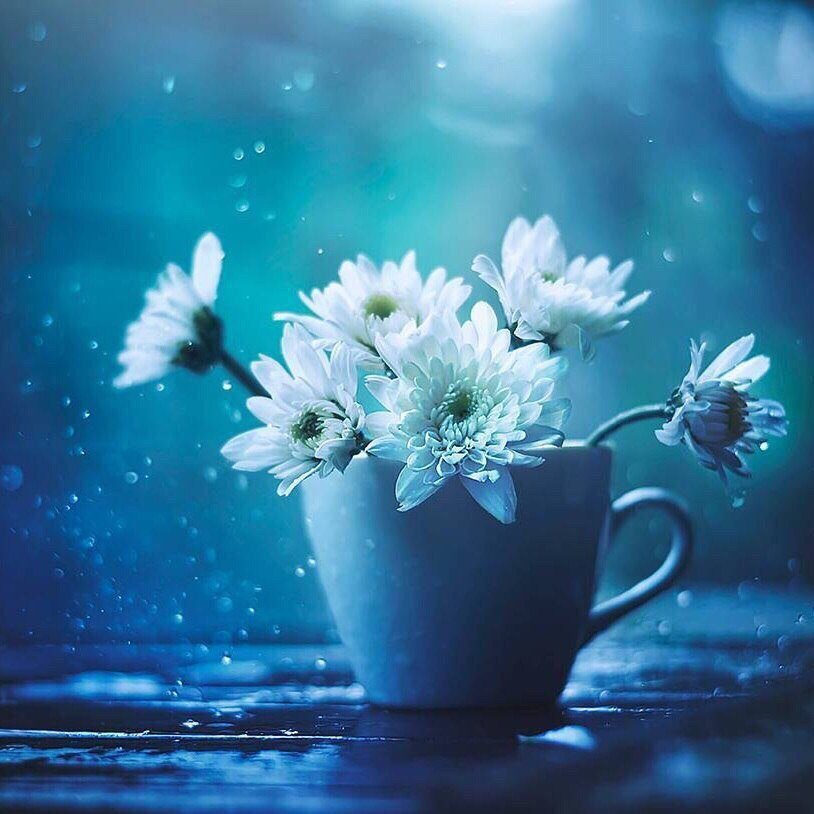 Цветы в чашке - оригинал