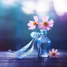 Цветы с лентой