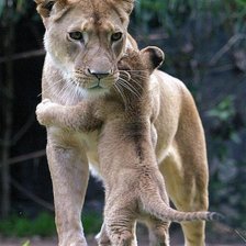 Схема вышивки «Пустунчик»