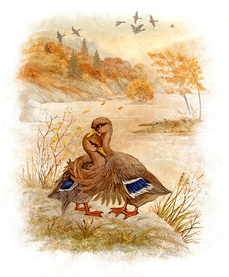 Утки - птицы - оригинал