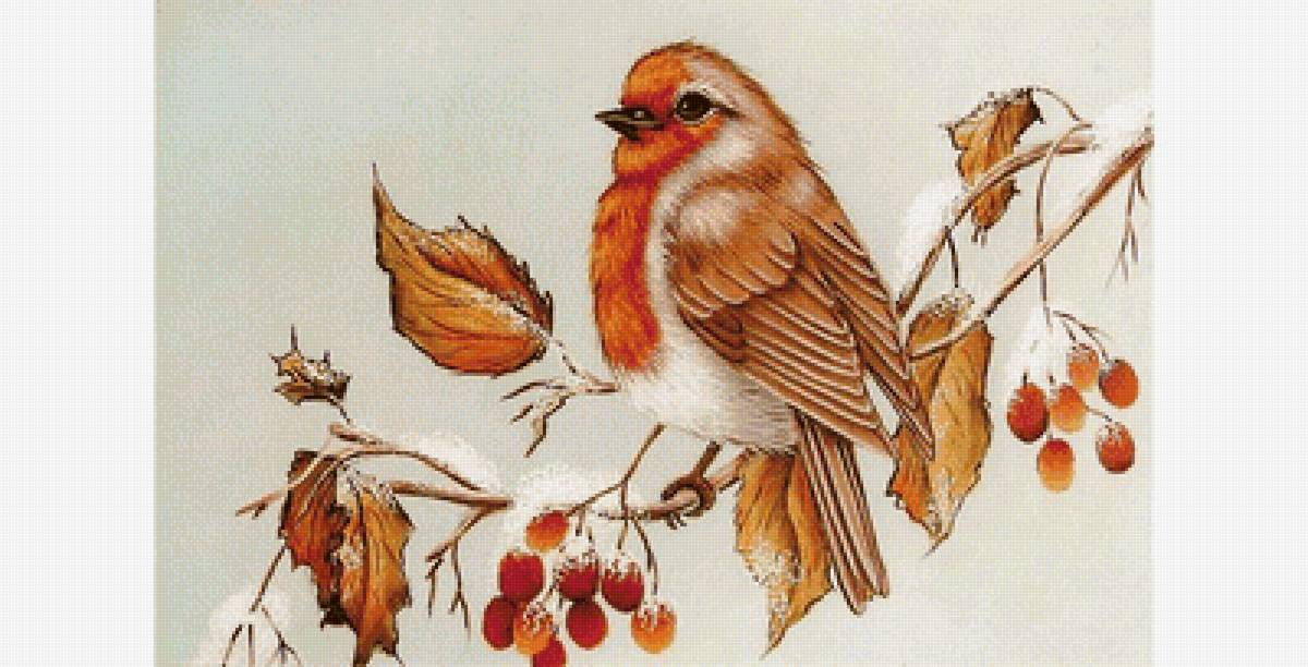 Птица на ветке - зима, птица, ягоды - предпросмотр