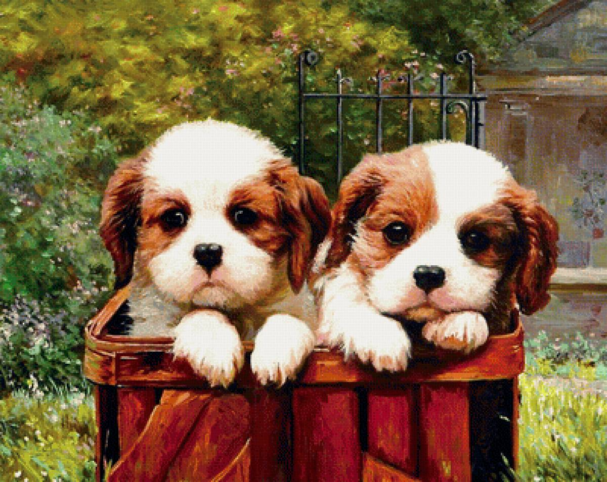 №1693112 - предпросмотр