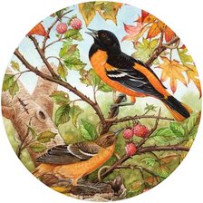 Схема вышивки «Птицы на ветке»