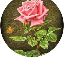 Оригинал схемы вышивки «Роза» (№1693420)