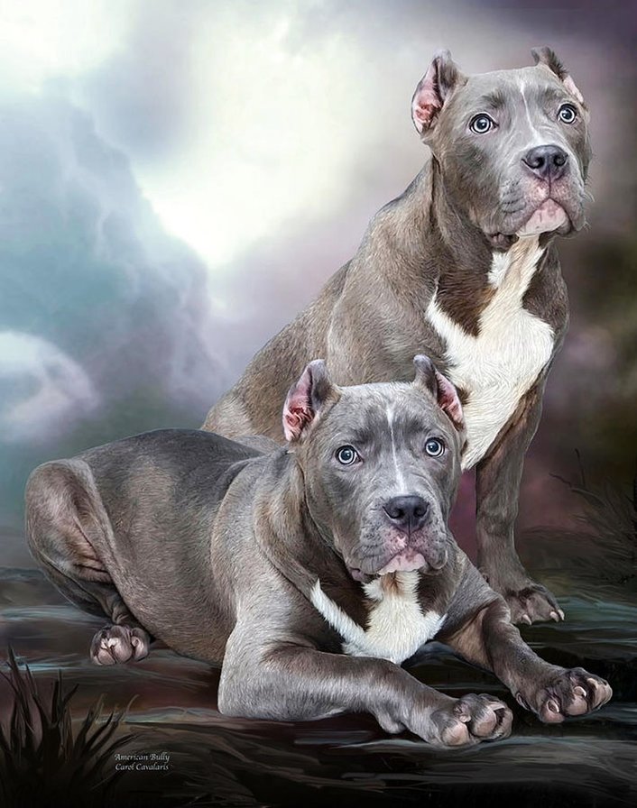 №1693604 - оригинал