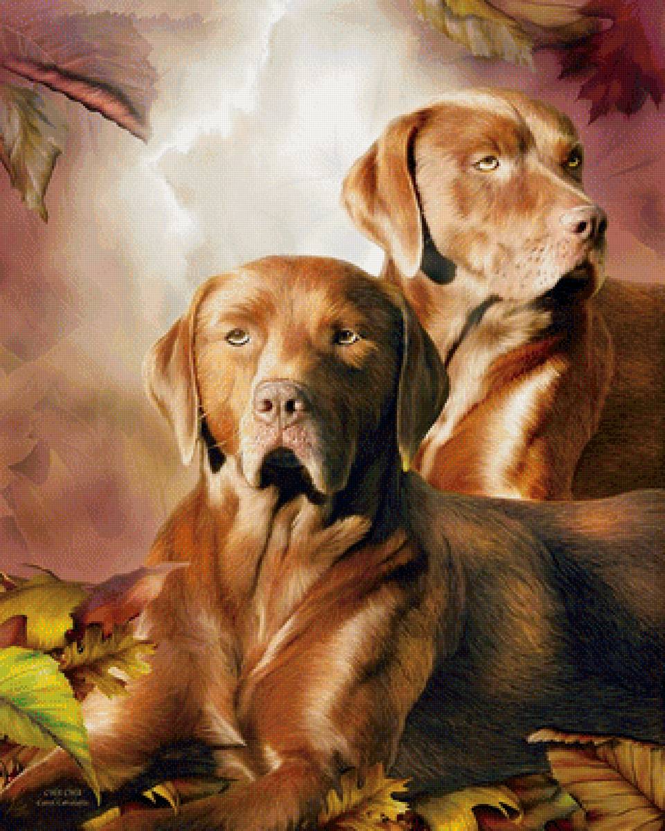 №1693605 - предпросмотр