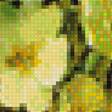 Предпросмотр схемы вышивки «Букет полевых цветов» (№1694063)