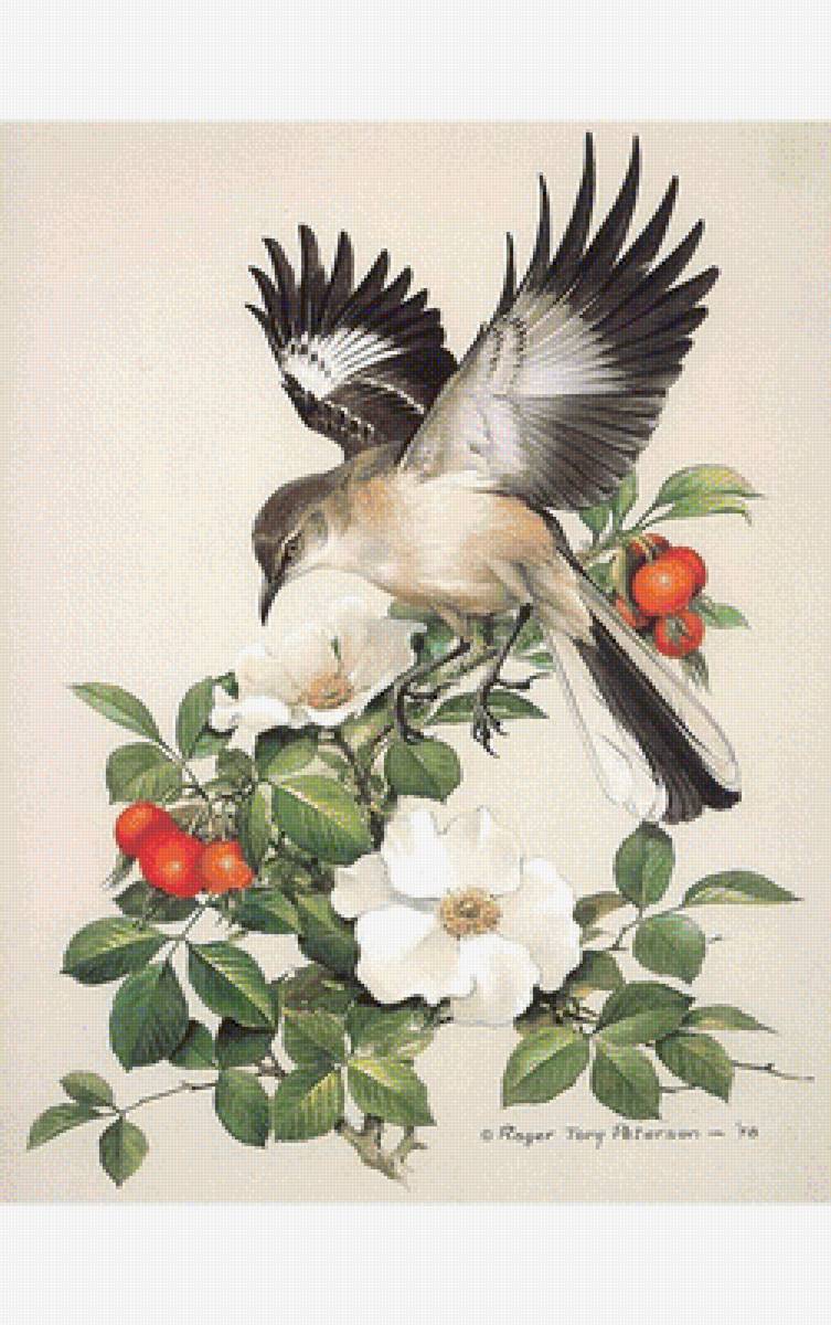 Птица - птицы, ягоды - предпросмотр