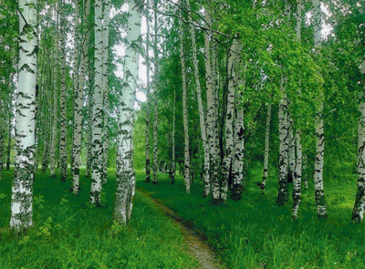 №1694926 - предпросмотр