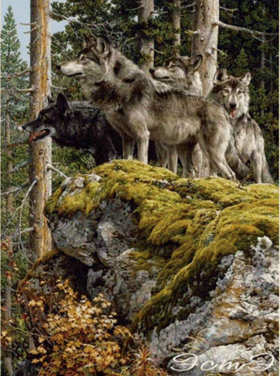 в дозоре - предпросмотр