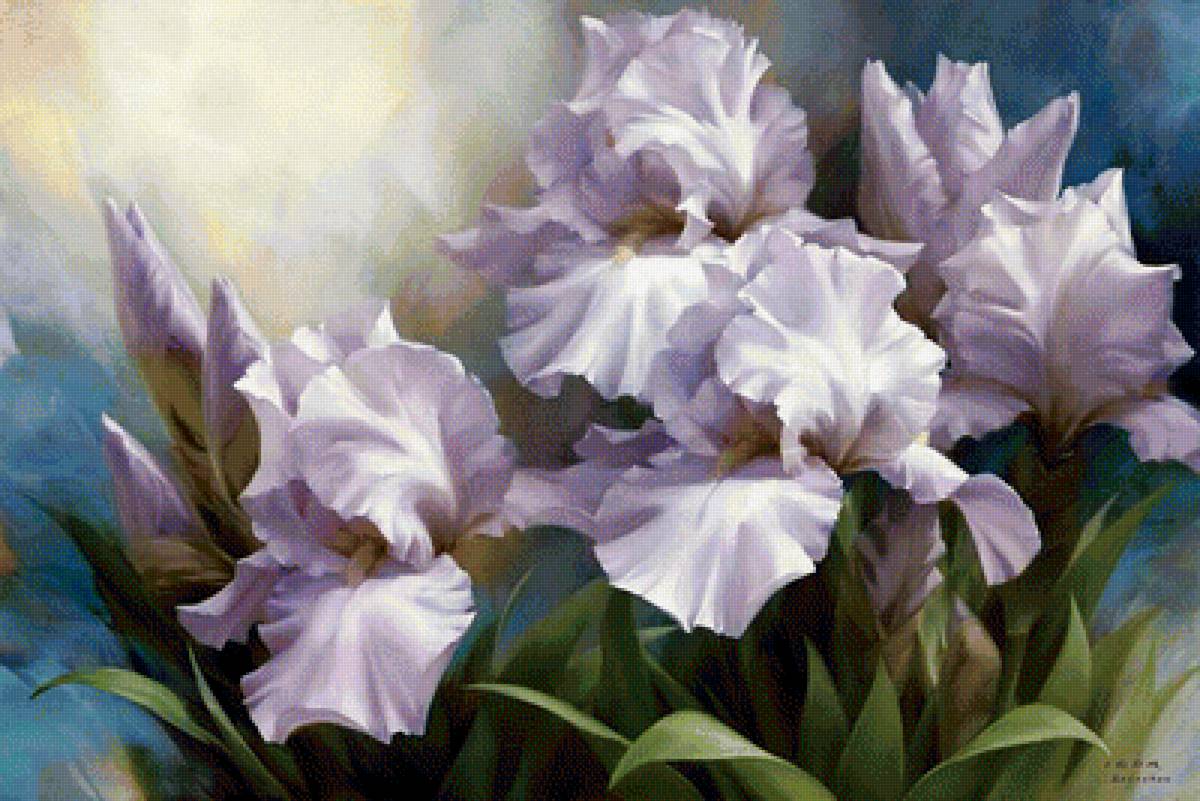 №1695467 - предпросмотр