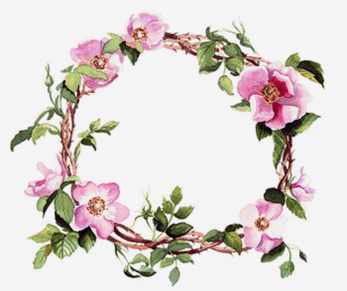 Věnec šípkové růže - предпросмотр