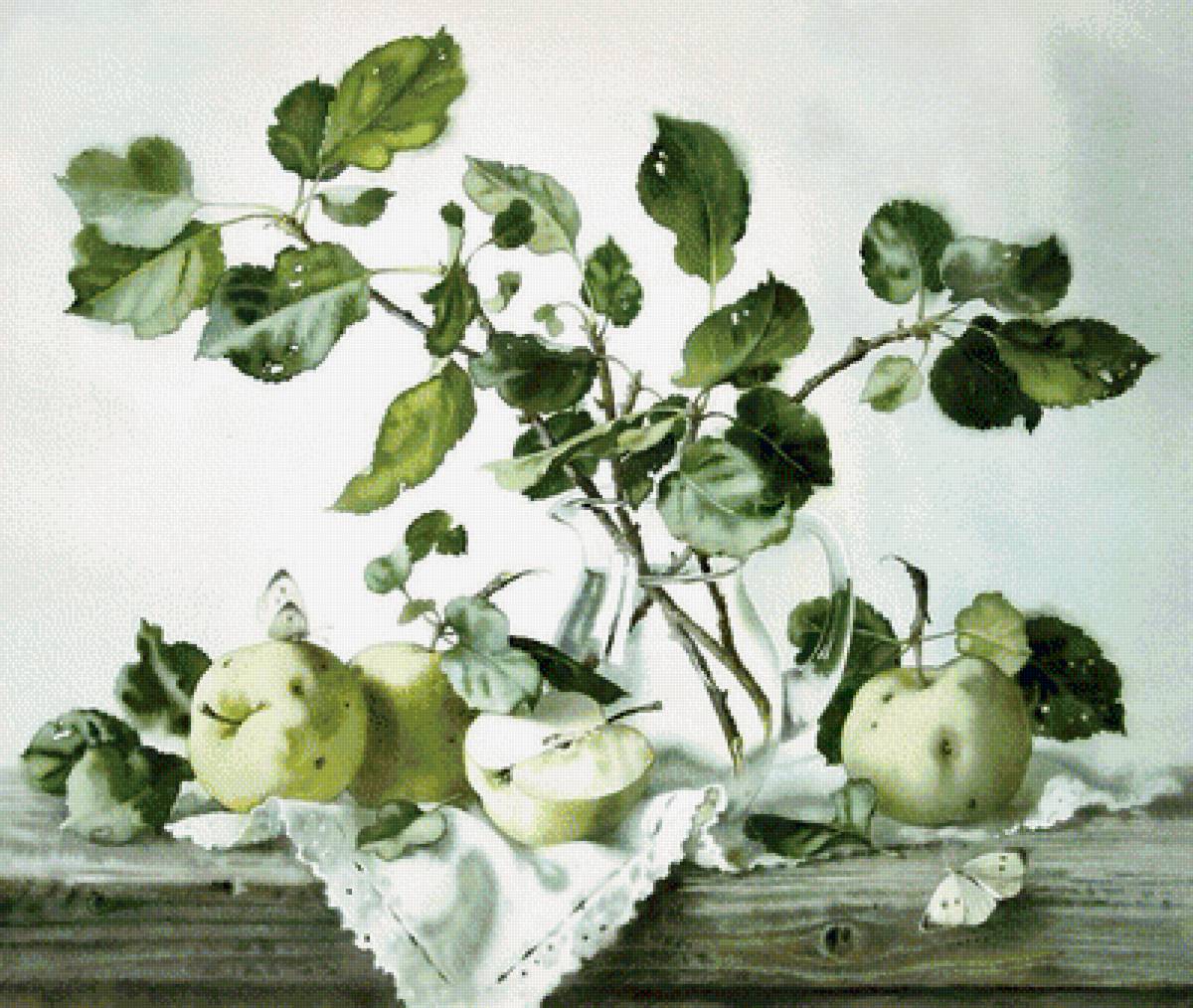 яблоки Базанова - яблоки базанова - предпросмотр