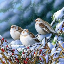 Схема вышивки «Птицы зимой»