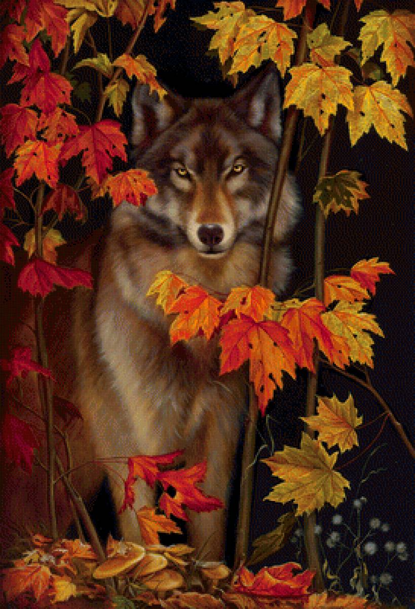 №1697230 - предпросмотр