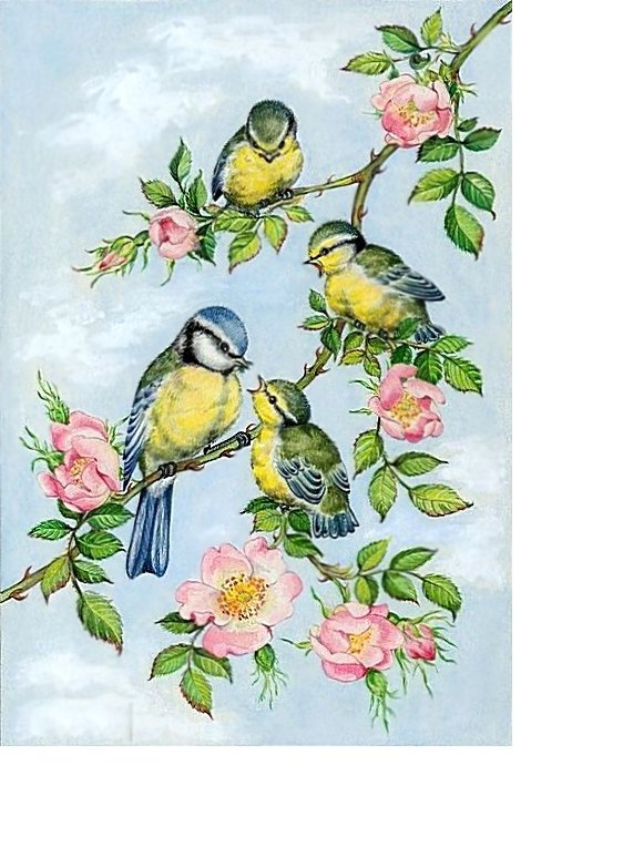 №1697381 - оригинал