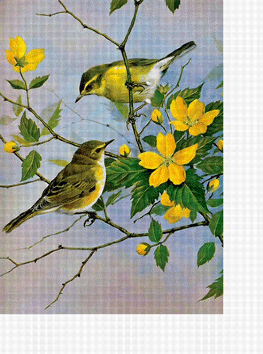 №1697411 - предпросмотр