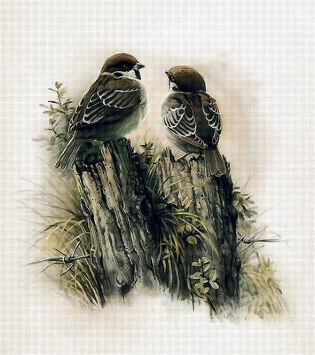 №1697445 - предпросмотр