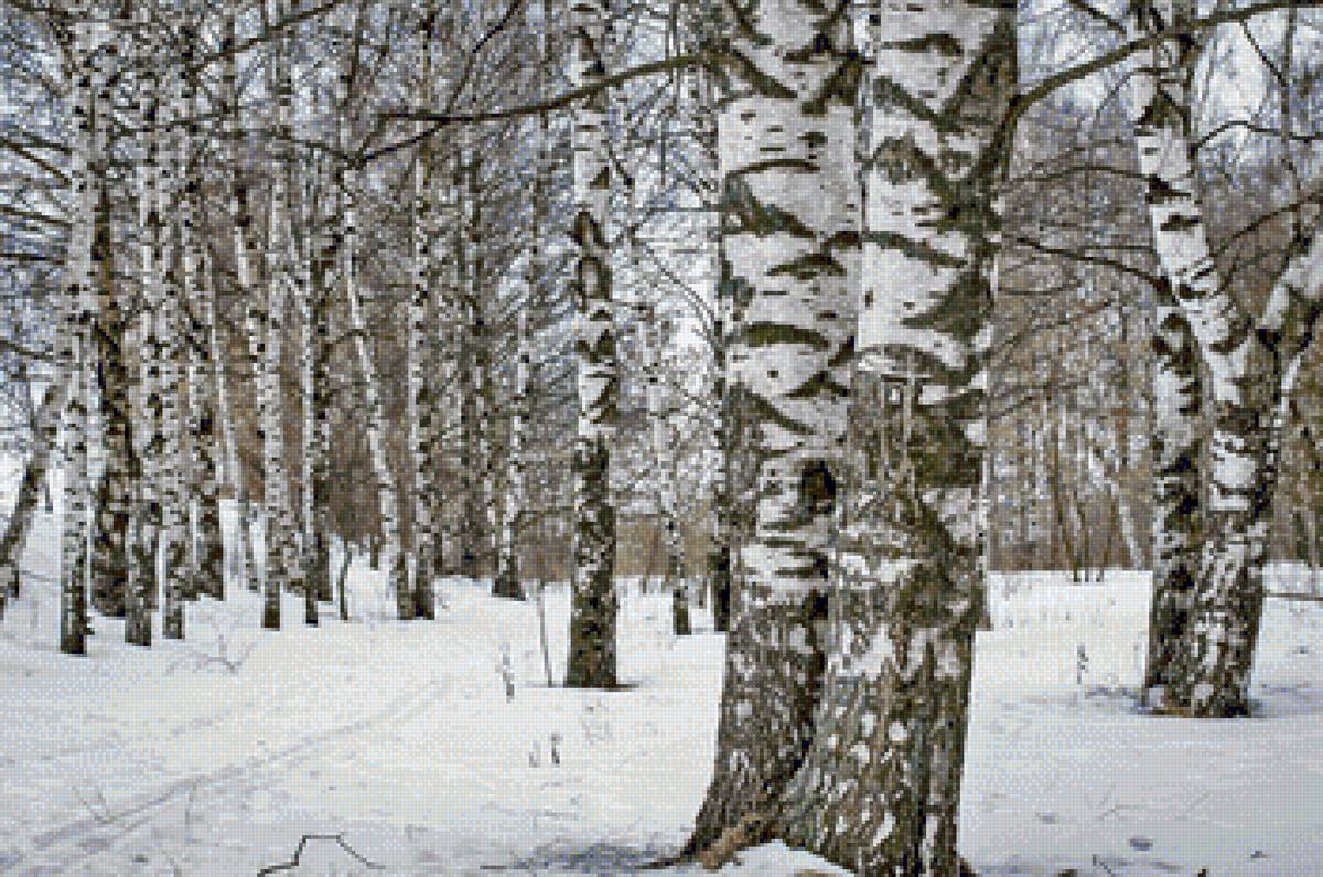 №1697781 - предпросмотр